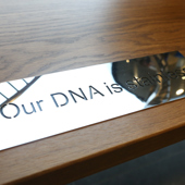 Our DNA is Stainless Paul Meijering