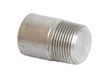 RVS NPT Round Headplug 3000 lbs